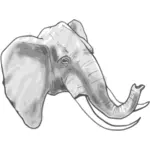 مخطط الرسومات المتجهة من الفيل