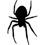 Silhouette vector image of spider
