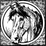 Ingelijst paard vectorafbeeldingen