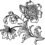 וקטור אוסף תמונות של פרחים בפריחה בשחור-לבן