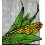 Mais und Maiskolben