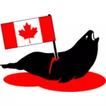 Stabbed Canadian seal