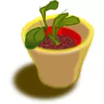 Vector image of plant in two pots