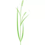 简单的水稻植株向量剪贴画