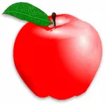 Vector drawing of light red shades apple