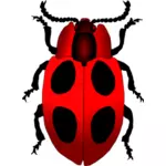 Vector image of a cartoon ladybug inscet