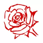 Růže skica