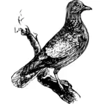 Linea arte illustrazione dell'uccello su un ramo di albero