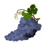 Immagine di vettore di uva viola