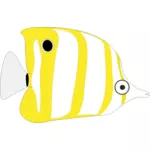 Gul tropisk fisk