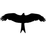 Eagle vektor silhouette