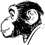 Monkeys huvud