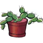 Kaktus bild