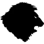 Lion obrázek