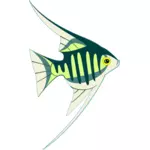 उष्णकटिबंधीय मछली छवि