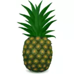 Green pineapple vector image