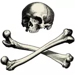 Totenkopf mit Knochen-Vektor-Bild