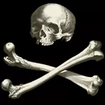 Lebky a kosti s černým pozadím