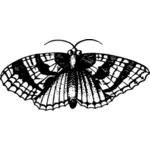 Zwart-wit vlinder