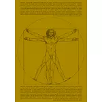 Illustration vectorielle de Vitruvian man