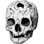 Gebroken schedel vector afbeelding