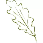 Folha de carvalho verde