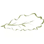 Desenho manual da silhueta da folha de carvalho