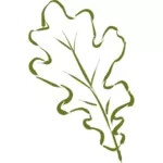 Dibujo vectorial de hojas de roble