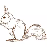 Squirrel drawing clip art