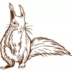 Squirrel vector sketch