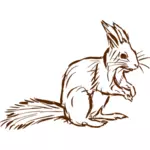 Desenho vetorial de esquilo
