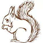 Squirrel eats a nut clip art