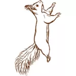 Squirrel animal vector clip art