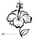Handgetekende Hibiscus bloem