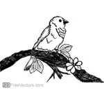 A Bird on Tree Branch