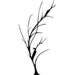 Пустыня дерева силуэт векторное изображение