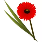 Červený květ symbol