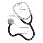 Vector image of stethoscope