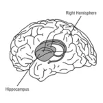 Mozku vektorové ilustrace