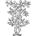 Vector illustration of twisted branches