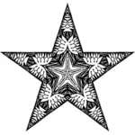 Abstrakt designet star