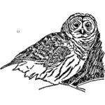 Owl sketch image
