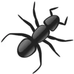 Vektor image av en maur