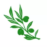 Оливковое дерево филиал векторное изображение