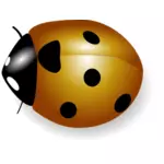 Ladybug bilde