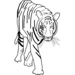 Vektor ClipArt av tiger rovdjur