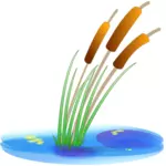 Vektor illustration av reed