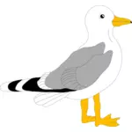 Рисунок Чайка с серыми перьями