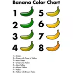 바나나 색상 차트 그래픽