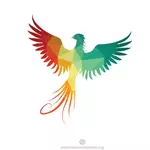 Colorful bird silhouette